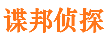 环县调查公司